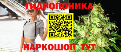 apvp Ирбит