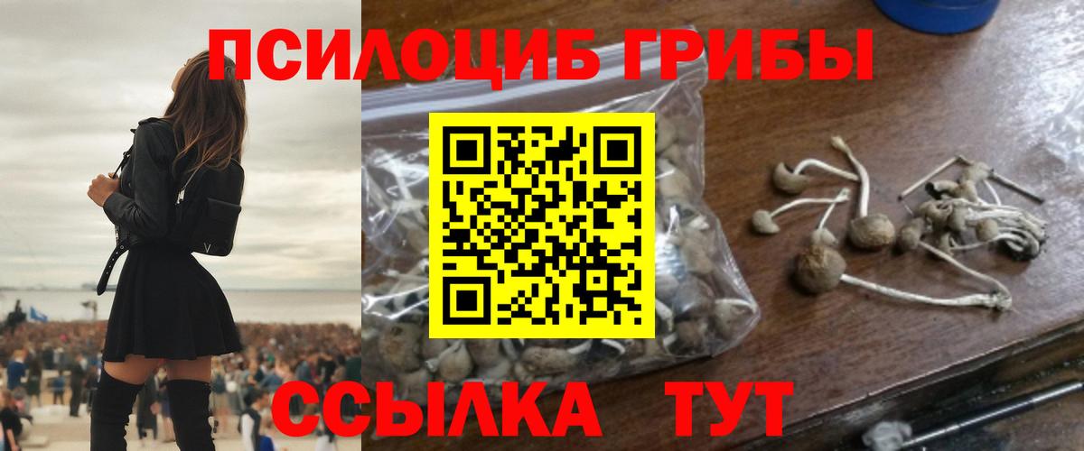 Галлюциногенные грибы мицелий  Галлюциногенные грибы Cubensis  Вход с VPN  Крымск 