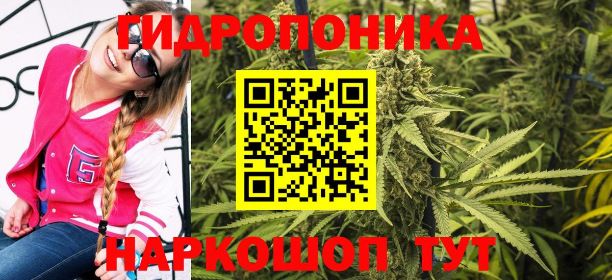 Бошки марихуана Bruce Banner  Конопля гибрид  Канабис конопля  Вход с VPN  Марихуана Bruce Banner  Крымск 
